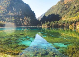 Where to Find Affordable Lodging in New York City