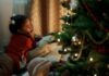 Top Ways to Discover the Best Christmas Tree for Your Family top-ways-to-discover-the-best-christmas-tree-for-your-family