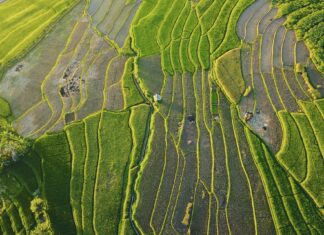 Why Southeast Asia is So Good for Solo Travel why-southeast-asia-is-so-good-for-solo-travel