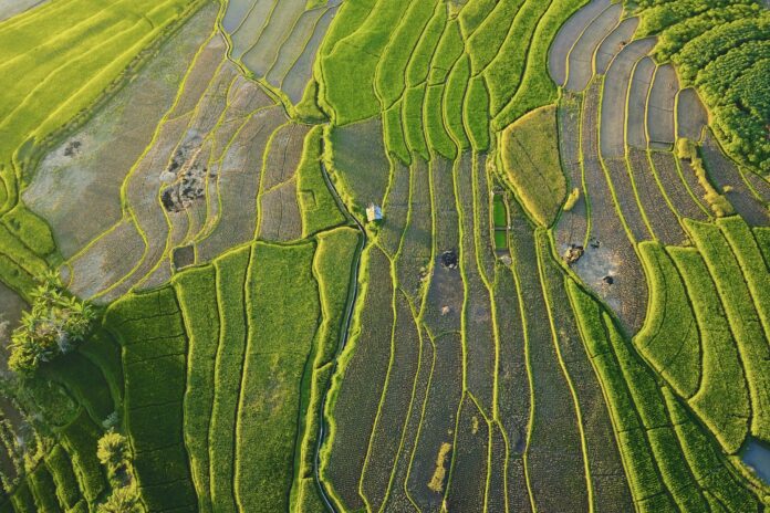 Why Southeast Asia is So Good for Solo Travel why-southeast-asia-is-so-good-for-solo-travel