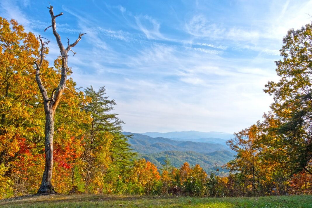 4-tips-to-enjoy-your-vacation-in-the-great-smoky-mountain