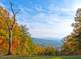 4 Tips To Enjoy Your Vacation in the Great Smoky Mountain 4-tips-to-enjoy-your-vacation-in-the-great-smoky-mountain
