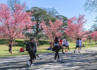 The 21 Best Spring Weekend Getaways from NYC the-21-best-spring-weekend-getaways-from-nyc