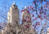 The 38 Best Things to Do in Spring in NYC 2022 the-38-best-things-to-do-in-spring-in-nyc-2022