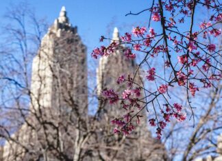 The 38 Best Things to Do in Spring in NYC 2022 the-38-best-things-to-do-in-spring-in-nyc-2022