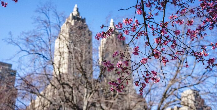 The 38 Best Things to Do in Spring in NYC 2022 the-38-best-things-to-do-in-spring-in-nyc-2022