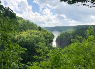 Roadtrip from NYC to Watkins Glen and Letchworth State Parks, Niagara Falls and 1000 Islands roadtrip-from-nyc-to-watkins-glen-and-letchworth-state-parks,-niagara-falls-and-1000-islands