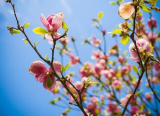 The 26 Best Things To Do In NYC In April 2022 the-26-best-things-to-do-in-nyc-in-april-2022