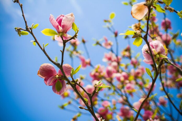 The 26 Best Things To Do In NYC In April 2022 the-26-best-things-to-do-in-nyc-in-april-2022