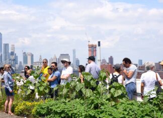 How To Celebrate Mother’s Day in NYC how-to-celebrate-mother’s-day-in-nyc