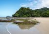 5 Best Day Trips You Can Do at Palm Cove 5-best-day-trips-you-can-do-at-palm-cove