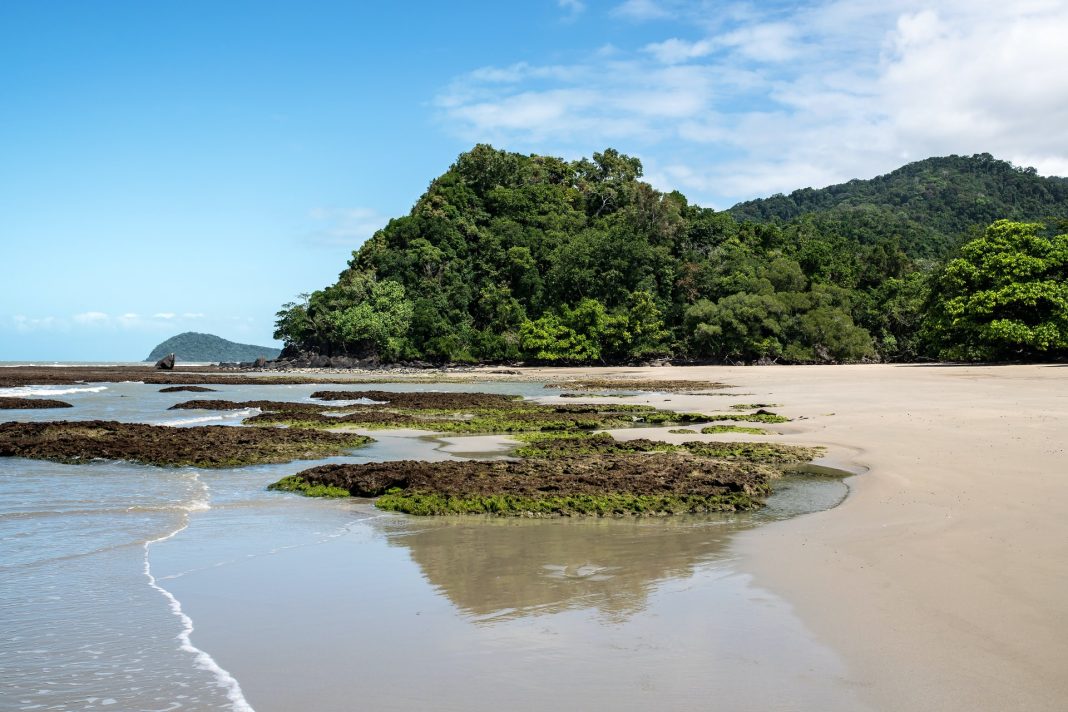 5-best-day-trips-you-can-do-at-palm-cove