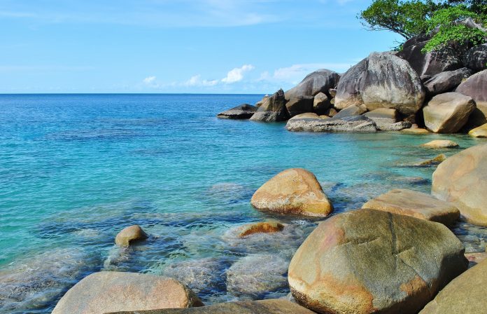 5 Water Activities to Enjoy at Fitzroy Island 5-water-activities-to-enjoy-at-fitzroy-island
