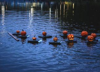 The Annual Pumpkin Flotilla the-annual-pumpkin-flotilla
