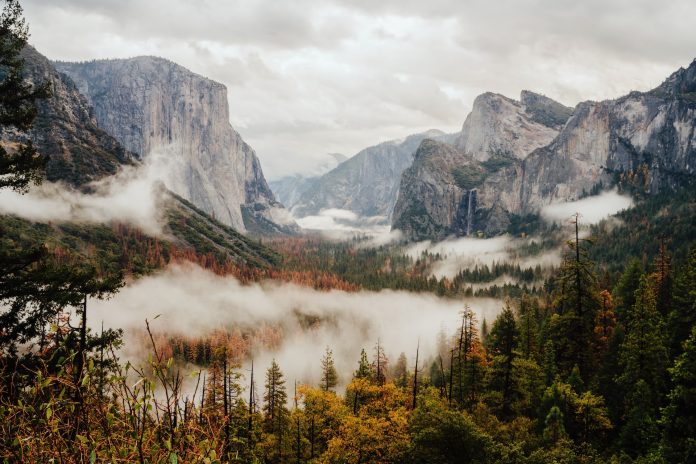 North America’s National Parks and the Hikes that reside within them north-america’s-national-parks-and-the-hikes-that-reside-within-them