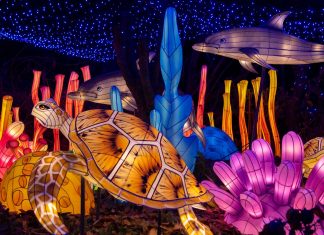 Bronx Zoo Holiday Lights bronx-zoo-holiday-lights