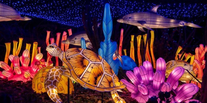 Bronx Zoo Holiday Lights bronx-zoo-holiday-lights