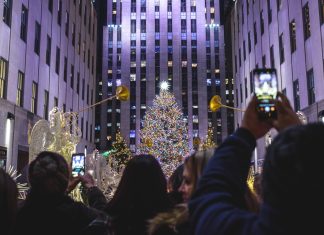 The Christmas Tree at Rockefeller Center the-christmas-tree-at-rockefeller-center