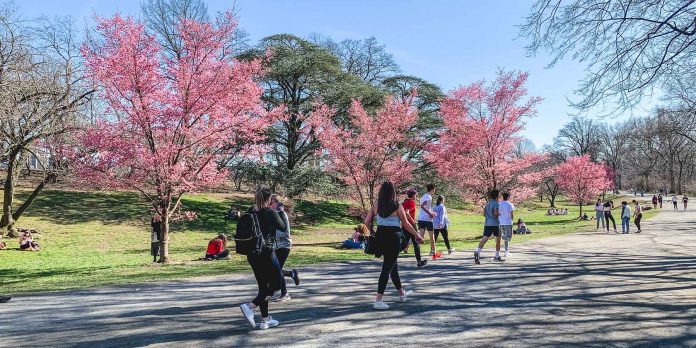 The 9 Best Spring Events in NYC the-9-best-spring-events-in-nyc