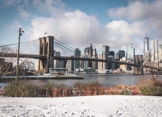 The 39 Best Things To Do in New York in January 2023 the-39-best-things-to-do-in-new-york-in-january-2023