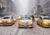 Fun Things To Do in New York City In The Winter fun-things-to-do-in-new-york-city-in-the-winter