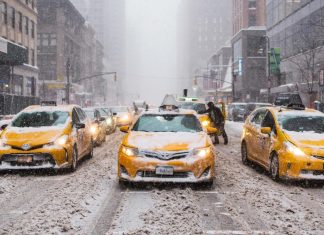 Fun Things To Do in New York City In The Winter fun-things-to-do-in-new-york-city-in-the-winter