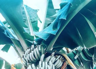 Helpful Virgin Islands Blogs helpful-virgin-islands-blogs