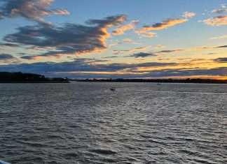 Spirit of New York Dinner Cruise With Buffet: Review spirit-of-new-york-dinner-cruise-with-buffet:-review