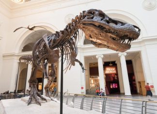 10 Incredible American City Museums-The Breathtaking Amalgamation Of Styles 10-incredible-american-city-museums-the-breathtaking-amalgamation-of-styles