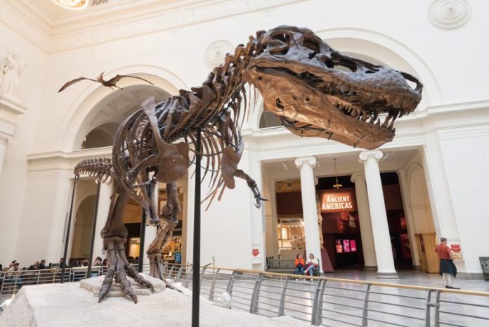 10 Incredible American City Museums-The Breathtaking Amalgamation Of Styles 10-incredible-american-city-museums-the-breathtaking-amalgamation-of-styles