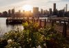 The 54 Best FREE Things To Do This Summer in NYC the-54-best-free-things-to-do-this-summer-in-nyc