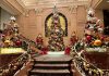 18+ STUNNING Christmas Trees in NYC & Where To Find Them (2023) 18+-stunning-christmas-trees-in-nyc-&-where-to-find-them-(2023)