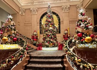 18+ STUNNING Christmas Trees in NYC & Where To Find Them (2023) 18+-stunning-christmas-trees-in-nyc-&-where-to-find-them-(2023)