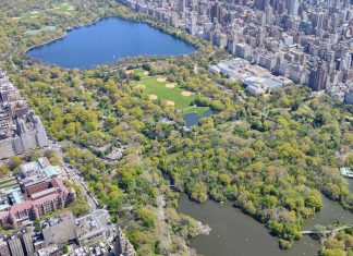 The 15 Best Brunch Spots near Central Park in New York 2023 the-15-best-brunch-spots-near-central-park-in-new-york-2023