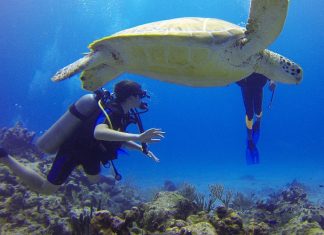 10 Best Water Sport Vacation Destinations In The USA 10-best-water-sport-vacation-destinations-in-the-usa