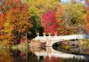 Fall Foliage in NYC – Our Complete Guide for 2023 fall-foliage-in-nyc-–-our-complete-guide-for-2023