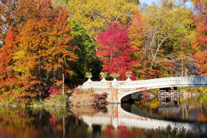 Fall Foliage in NYC – Our Complete Guide for 2023 fall-foliage-in-nyc-–-our-complete-guide-for-2023
