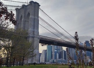 Glide at Brooklyn Bridge Park glide-at-brooklyn-bridge-park
