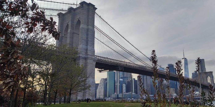 Glide at Brooklyn Bridge Park glide-at-brooklyn-bridge-park