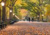 24 AMAZING Free Things to Do in NYC in the Fall (2023) 24-amazing-free-things-to-do-in-nyc-in-the-fall-(2023)