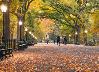 24 AMAZING Free Things to Do in NYC in the Fall (2023) 24-amazing-free-things-to-do-in-nyc-in-the-fall-(2023)