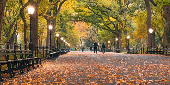 24 AMAZING Free Things to Do in NYC in the Fall (2023) 24-amazing-free-things-to-do-in-nyc-in-the-fall-(2023)