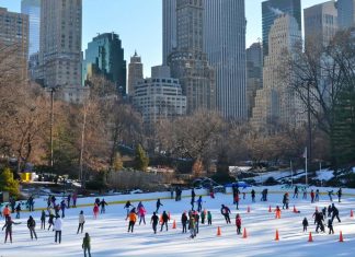 Wollman Rink in Central Park wollman-rink-in-central-park