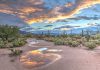 Hiking Through Paradise and Discovering the Top 10 Trails in Sabino Canyon for Nature Lovers hiking-through-paradise-and-discovering-the-top-10-trails-in-sabino-canyon-for-nature-lovers