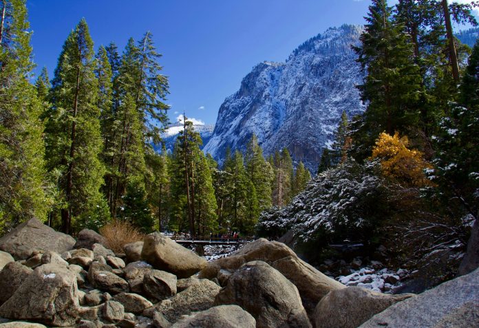 Yosemite Adventure: Day Tripping from San Francisco yosemite-adventure:-day-tripping-from-san-francisco