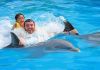 The Best Activities in Cancun and Riviera Maya the-best-activities-in-cancun-and-riviera-maya