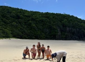 Rare Leatherback Sea Turtle Nesting Sighting in the BVI rare-leatherback-sea-turtle-nesting-sighting-in-the-bvi