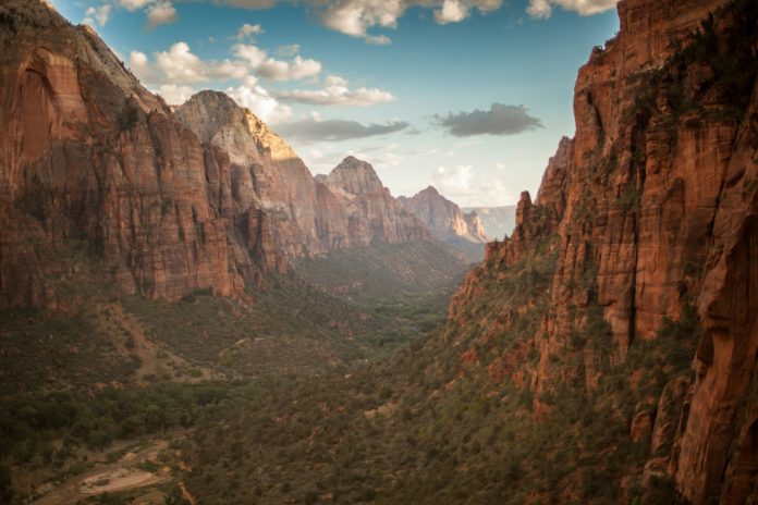 Discovering Zion: Why This National Park Should Be on Your Bucket List discovering-zion:-why-this-national-park-should-be-on-your-bucket-list